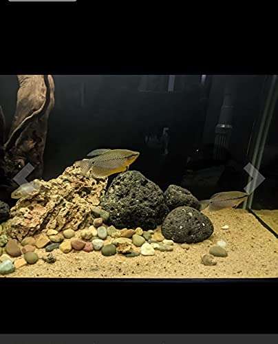 Jagmagahat Natural Sand Reti and Organic River Sand Multi Purpose 3kg from Kaveri Pure for Lawn, Garden, Plants, Fish Pot and Aquarium River Sand 3