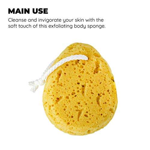 Jacent Deep Cleaning Sea Foam Bath and Body Sponge, 2 Pack 3