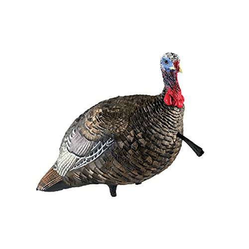 AvianX Jake Quarter Strut Decoy, Camo 1