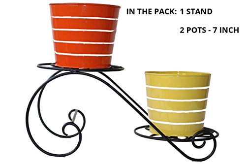 Cinagro Iron Plant Stand for 2 Plants, with Pot and Plant Indoor/Outdoor for Home and Balcony Décor (Black) 5