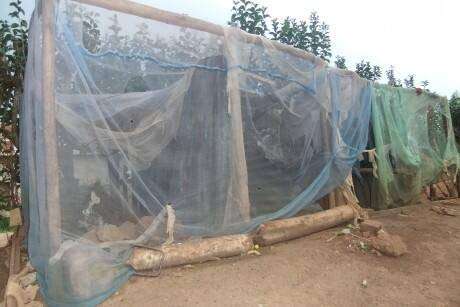 Farmer King Animal Mosquito Net - Cow Shed Machardani - Fly Disease Irritation Protection Net - Mosquito Net for Dairy Farm for Horse,Cow,Buffalo and Infant (25x20x10 FT) 5