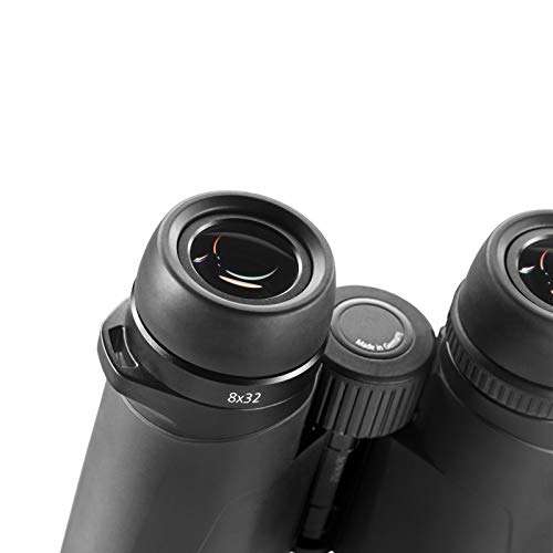 Zeiss 10x32 Conquest HD Binocular with LotuTec Protective Coating (Black) 4