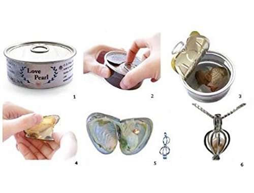 Gifts Online Jiada Wish Pearl In Oyster Pendant Necklace With Earrings 3