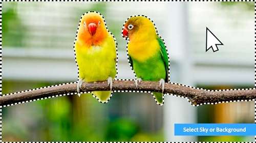 Adobe Photoshop Elements 2024 and Premiere Elements 2024 | Box with Download Code 3