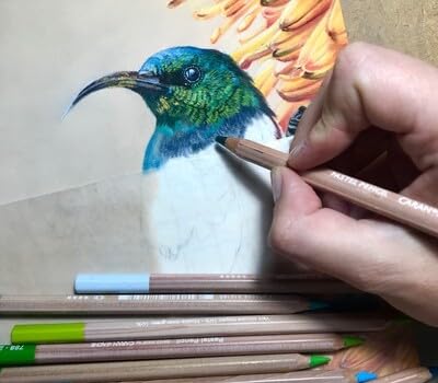 Caran D'ache Pastel Pencils - Anthraquinoid Pink (788.571) 3