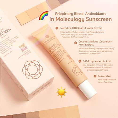 Starter Sunscreen Cream by Moleculogy - 1.05oz (30g) - SPF50+ PA++++ A Hybrid Hypoallergenic Suncream, Sun Protection Cream 4