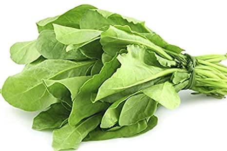 KKM Enterprises Vegetable Seeds For Home Garden/Terrace Garden Combo Pack (Azuki Beans/ Beans/ Broad Beans/ Cluster Beans, French Beans) Pack of 4 Each 10 Grams 3