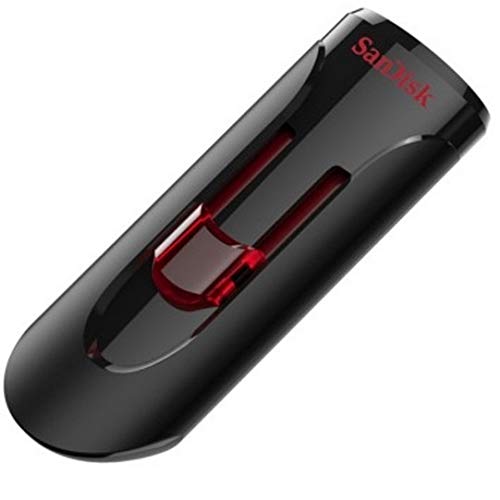 SanDisk 256GB Cruzer Glide 3.0 USB Flash Drive (2 Pack) Laptop Computer Pen Drive (SDCZ600-256G-G35) Bundle with (1) Everything But Stromboli Lanyard 4