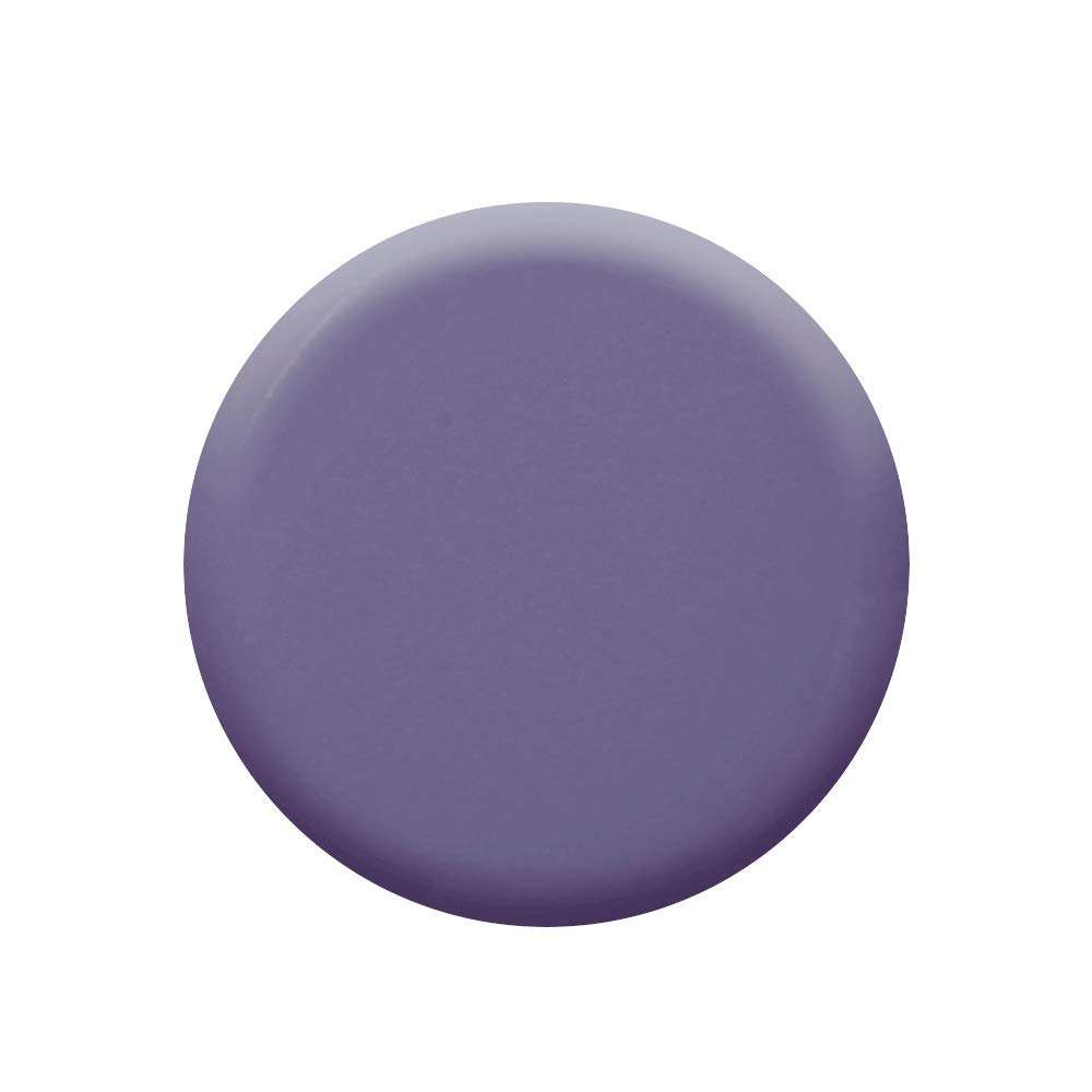 Colorbar Nail Lacquer (Baby Purple, 12 ml) 4