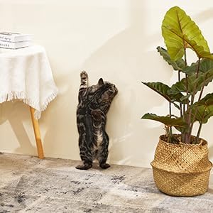 ctizne Transparent Sticker Foil,Oil Proof Wallpaper,Kitchen Backsplash Wall Protector High Temperature Resistant Self-Adhesive Sticker (Transparent) 4