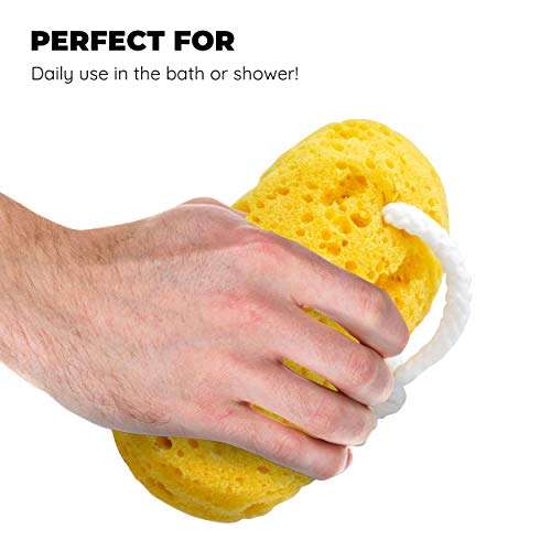 Jacent Deep Cleaning Sea Foam Bath and Body Sponge, 2 Pack 4