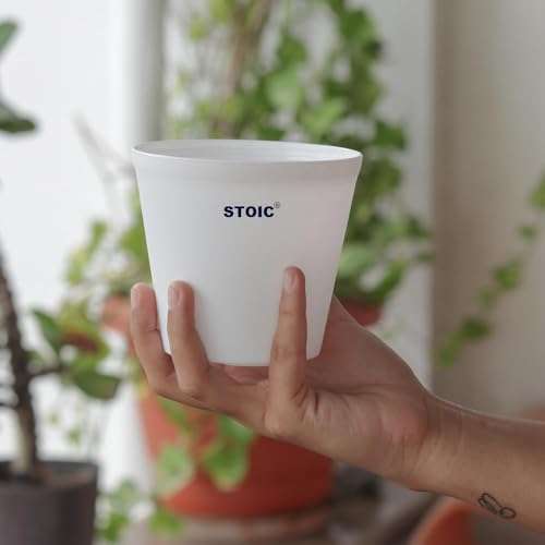 STOIC Nursery Planter Pot |Indoor and Outdoor 4 inches Plastic Flower Pots for Home/Office/Table/Garden/Balcony Decoration | Pack of 24 | White 2