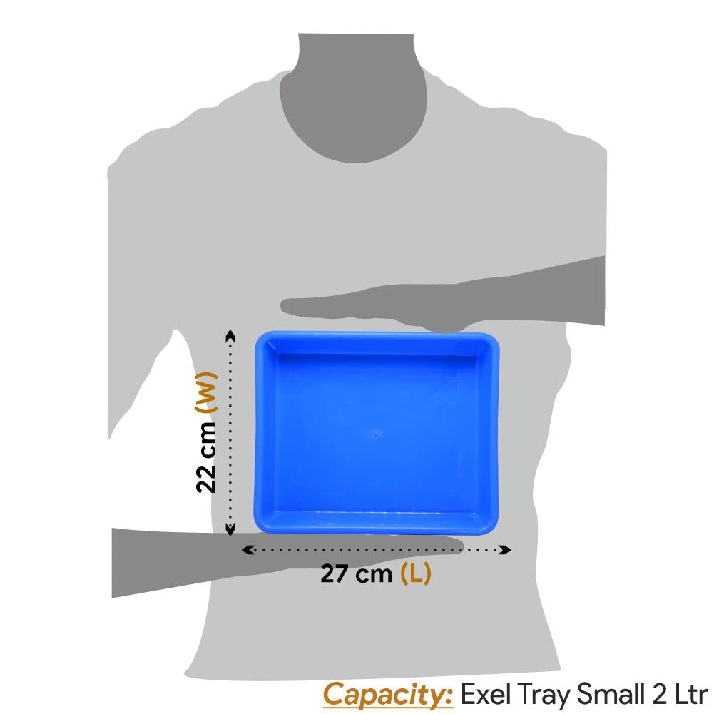 Wonder Plastic Exel Small Tray for Home/Office/Kitchen, Set of 4 pc Tray 2 LTR, Blue Color 4