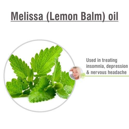 Melissa (Lemon Balm) oil(Melissa officinalis) 100% Pure & Natural With Dropper 50ml 3