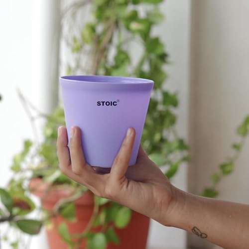 STOIC Nursery Planter Pot |Indoor and Outdoor 4 inches Plastic Flower Pots for Home/Office/Table/Garden/Balcony Decoration | Pack of 24 | Purple 2