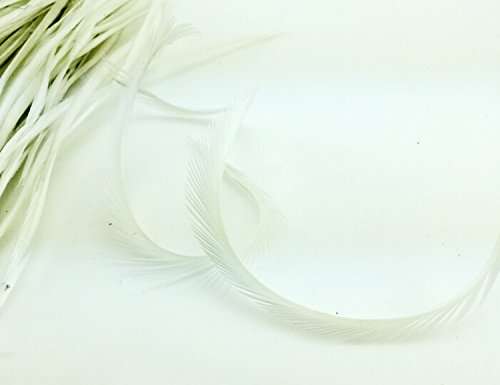 5''-9.5'' Feathers Fly Tying Materials for stonefly Nymph Split Tails& Down Wings 50pcs/Pack (White) 2
