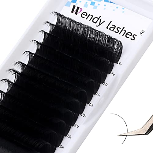 Eyelash Extension Lashes 8-25mm Length Individual Eyelashes C/D Curl Classic Eyelash Extensions Supplies .10 .15 .20 .25mm Single Lashes (0.10-D, Mixed 20-25mm) 1
