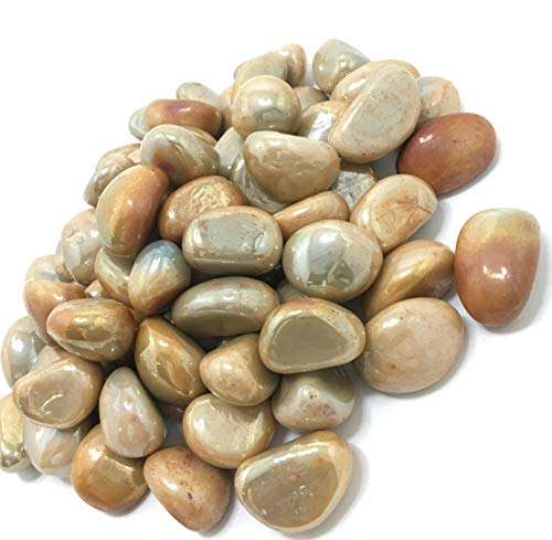 DR Pebbles Decorative Stones for Home Decor (Milky Gold Kaju Type, 950g) 3
