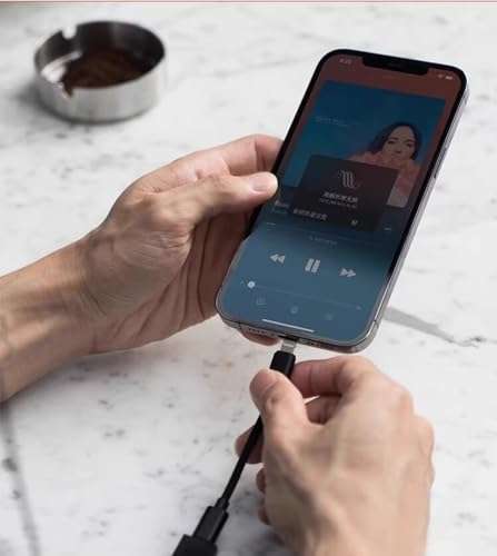 Questyle USB C DAC OTG Cable MFI Certified Audio Adapter for iPhone 13/12/11/X/8/7/6/Plus, iPad Pro/Air/Mini, iOS15 to Type C Male Adaptor (Only fit for Amplifier M12i M15i) 6