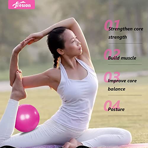 Fresion Small Exercise Ball Soft Yoga Balls,Mini Pilates Ball 25cm for Core Training Exercise,Durable 6