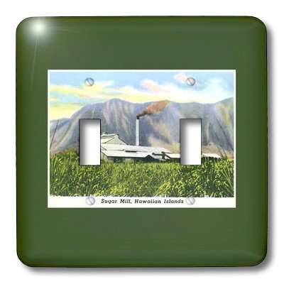 3dRose LSP_169767_2 Toggle Switch 3