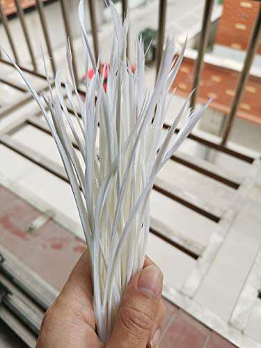 5''-9.5'' Feathers Fly Tying Materials for stonefly Nymph Split Tails& Down Wings 50pcs/Pack (White) 3