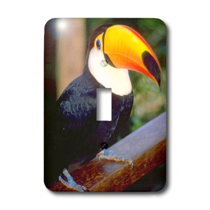 3dRose lsp_17933_1 Toucan Toggle Switch 2