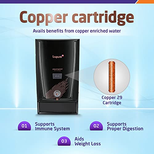 Livpure Pep Pro Grand RO+UV+Mineraliser+Copper, 15 LPH Water Purifier | Suitable for Borewell, Tanker, Municipal Water - 7 L Storage Tank, Black 3