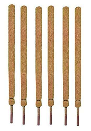 COIR GARDEN COIR MOSS STICK - COCO POLE 3 Feet(91 CM) - 6 PIECES - COIR MOSS STICK for CLIMBING MONEY PLANT, INDOOR & OUTDOOR PLANTS, HOUSING PLANTS SUPPORT STICK 1