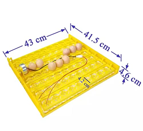 BL Electronics Automatic Incubator Egg Tray Design for 56 Chicken/Duck Eggs Plastic tray set With AC220V 4W Motor 2