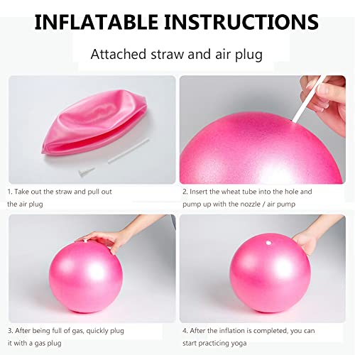 Fresion Small Exercise Ball Soft Yoga Balls,Mini Pilates Ball 25cm for Core Training Exercise,Durable 3