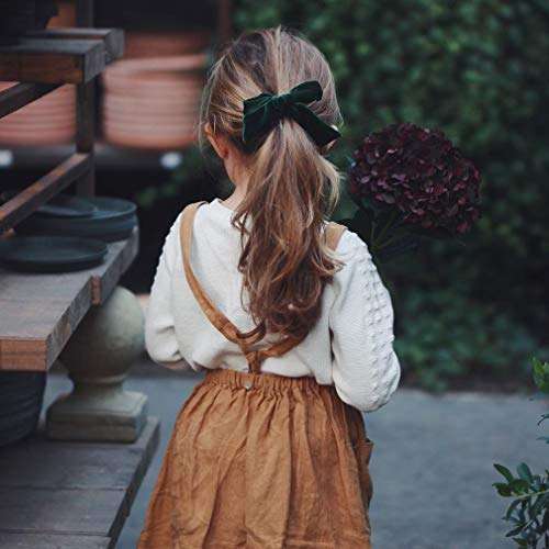 Big Hair Bows Girls Toddler Velvet 5 inches 10 PCS Hair Clips for Girls Alligator Baby Ponytail Holder 2