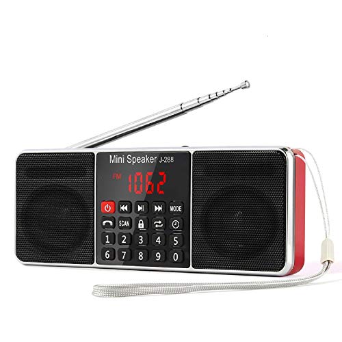 PRUNUS J-288 Portable Radio AM FM Radio with Bluetooth Speaker, Sleep Timer, Power-Saving Display, Ultra-Long Antenna, AUX Input & USB Disk & TF Card MP3 Player, NO Manual Preset 1
