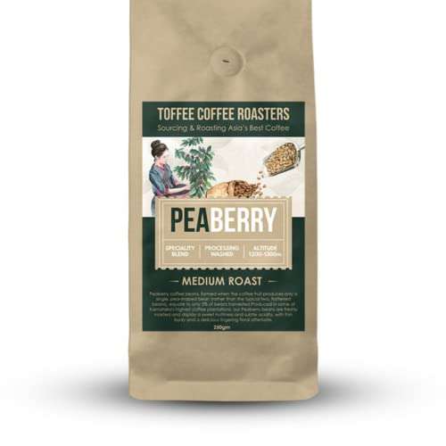 Toffee Coffee Roasters | Peaberry Coffee | Single Origin Coffee | 100% Arabica | Medium Roast | Coffee Notes: Sweet with Delicious Aftertaste | Grind: Home Espresso Machine| Freshly Roasted | 500 gms 1