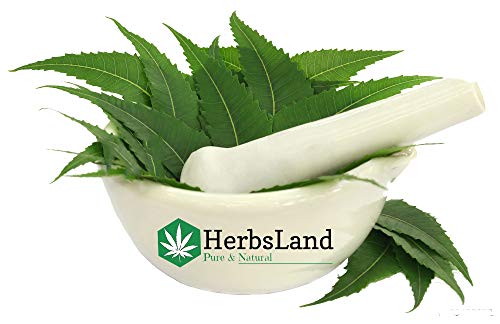 HerbsLand® 100% Natural Beetroot (SuperFood) (Beta Vulgaris), Masoor Dal (Red Lentils-Seed) FacePack and Neem Leaf Powder For Face & Skin Care (100gm Each) 6