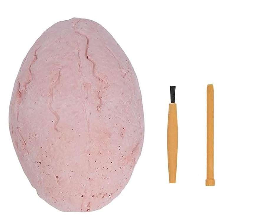 CrazyBuy Dinosaur Egg Digging Egg Toy Learning While Playing Toy for Kids 5