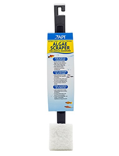 API ALGAE SCRAPER For Acrylic Aquariums 1-Count Container 1