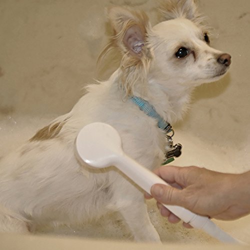 Danco 10086 VersaSpray Portable Hand Held Shower Head Sprayer Fits Bathtubs without Diverter, (Pack of 1), White 6