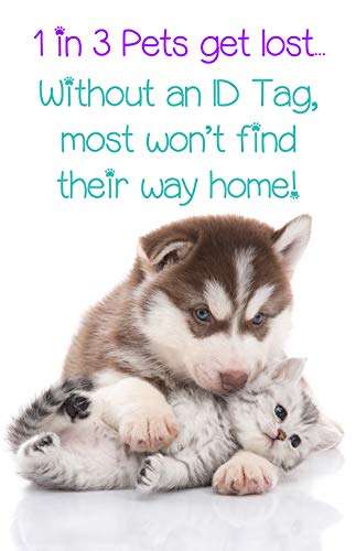 Minnie Mouse Pet Id Tag for Dogs & Cats Personalized w/Name & Number 2