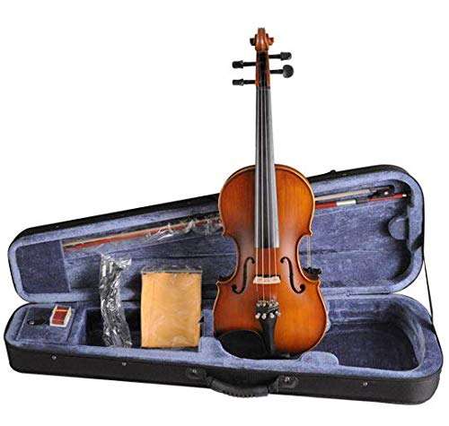 Aileen VE102BE 4/4 Solid Body Violin 1