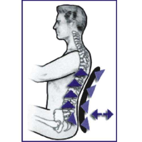 Oshotto Debonair Broad Orthopaedic Back Rest Office/Home Chair Lumbar Support Cushion for All Cars (Black) 5