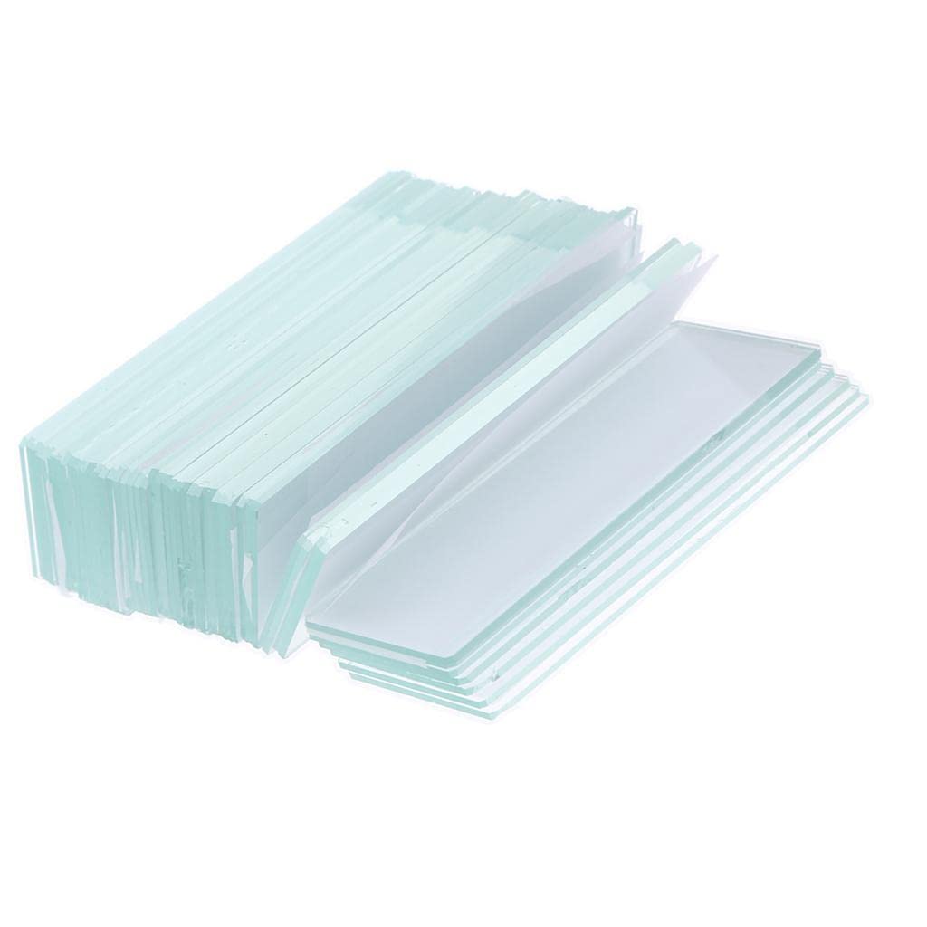 Excluzo 50 Pieces Blank Microscope Glass Slides for Biology Experiment Supplies 1