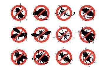 SAYFI Family Suraksha Ultrasonic Pest Repellent Fleas, Rat, Spider, Cockroach & Ants Repeller 5