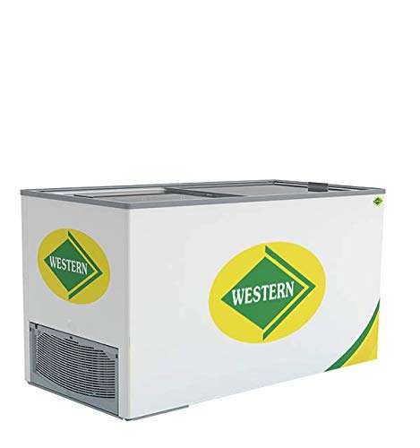 Western Straight Glass Top Freezer NWHF550G-HC 1