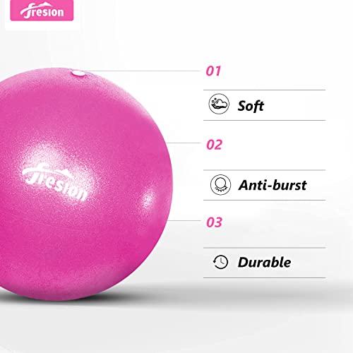 Fresion Small Exercise Ball Soft Yoga Balls,Mini Pilates Ball 25cm for Core Training Exercise,Durable 2