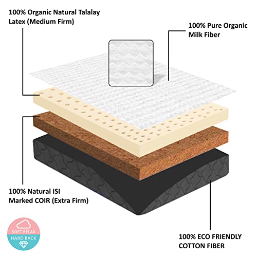 SLEEPSPA 6-inch Single Size COCOLATEX Coir & Latex Mattress with Milk Fiber Fabric with HerbFRESH��Technology (72X35X6, White) 6