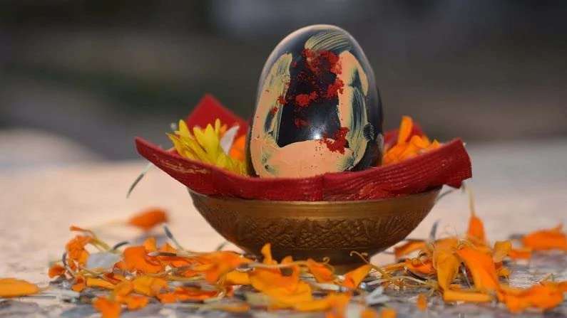 Black SHALIGRAM Stone from VRINDAVAN || Size 2 INCES Approx. (Black) 1