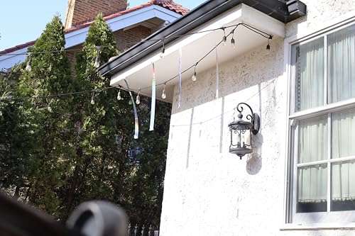 Bird-X Irri-Tape, Holographic Bird Scare Tape, Iridescent Foil Reflective Tape for Multi-Sensory Attack, Easy to Install, 2" W x 25' L 3