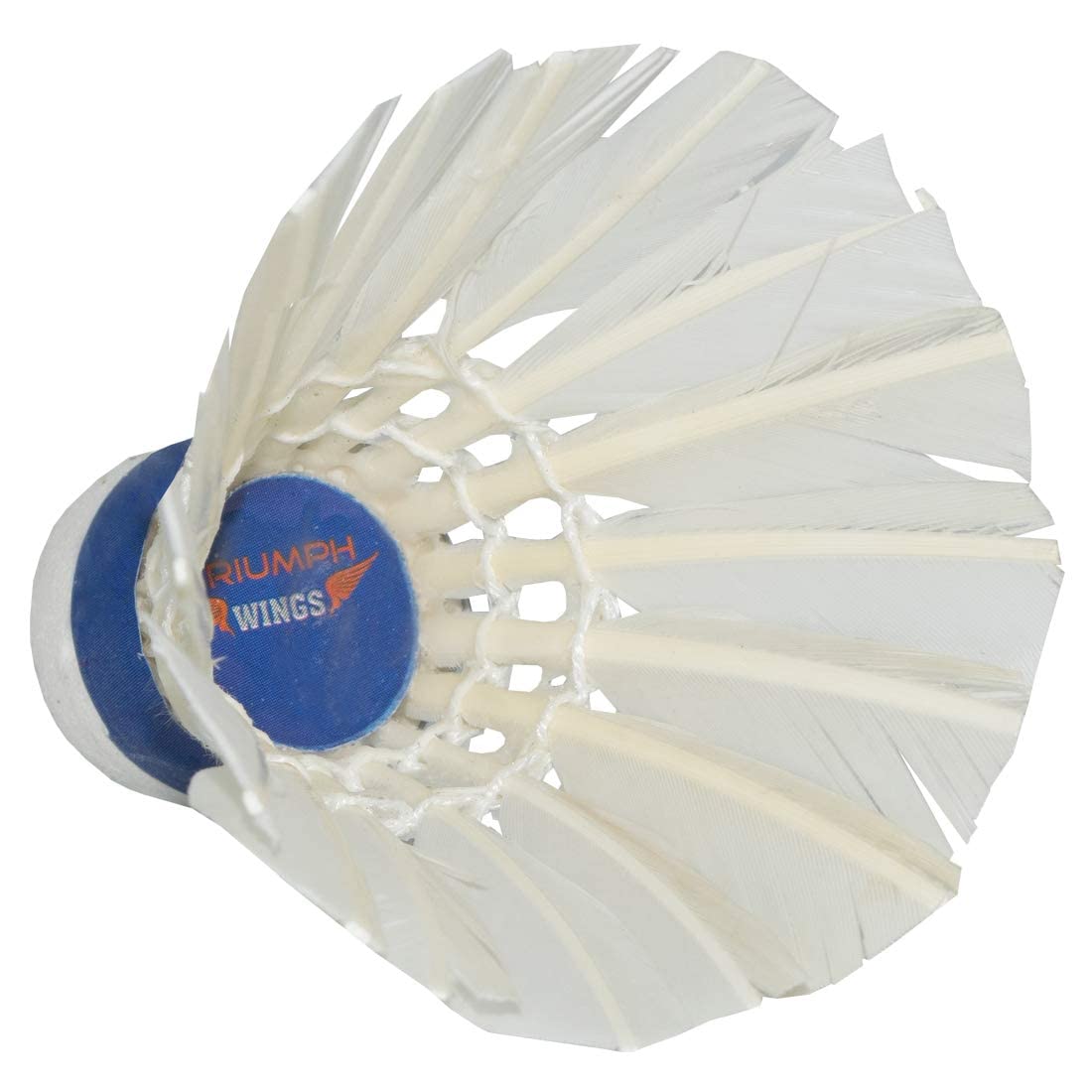 Triumph Carbon Fiber Frame and Wooden Badminton Racquet Set- 2 Pc with 10 Pc Wings Feather Shuttlecock and Full Racket Cover to Carry Both Rackets, Perfect for Adults (Multicolour) 6