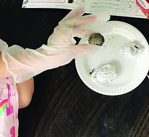 Barn Owl Pellet Classroom Kit 5